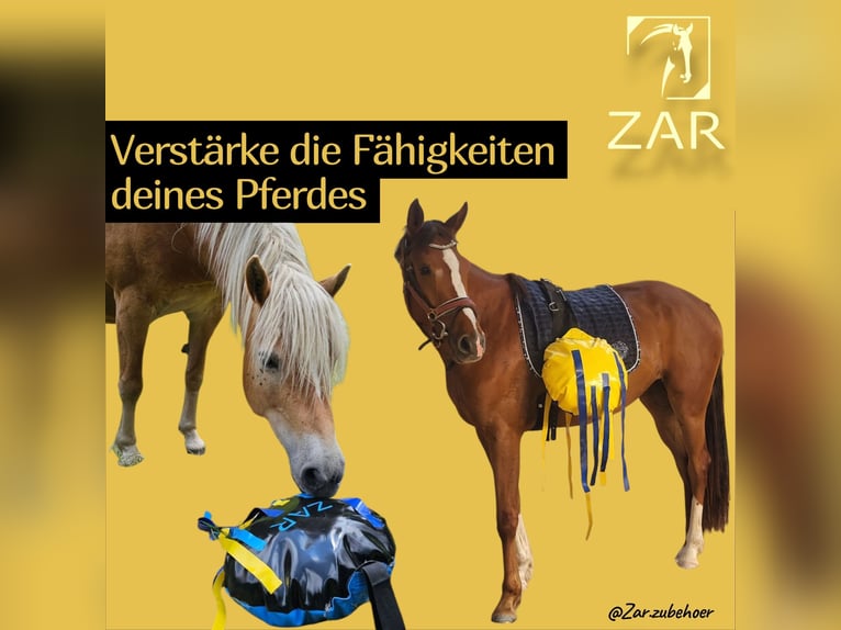 Flatterball Gelassenheitstraining Pferdetraining verschiedene Farben 