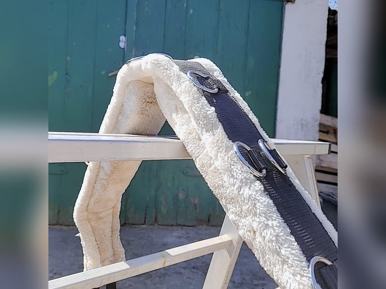 Longier-Set für Ponys/Kleinpferde. Mega Flausch+ Kappzaum
