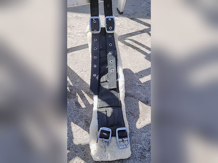 Longier-Set für Ponys/Kleinpferde. Mega Flausch+ Kappzaum