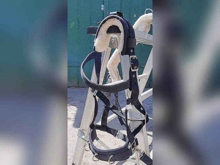 Longier-Set für Ponys/Kleinpferde. Mega Flausch+ Kappzaum