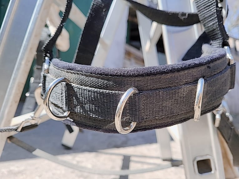 Longier-Set für Ponys/Kleinpferde. Mega Flausch+ Kappzaum