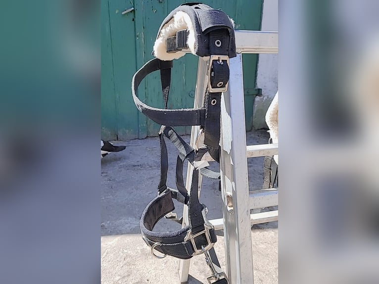 Longier-Set für Ponys/Kleinpferde. Mega Flausch+ Kappzaum
