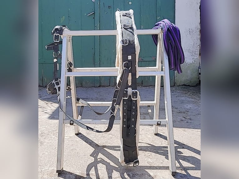 Longier-Set für Ponys/Kleinpferde. Mega Flausch+ Kappzaum