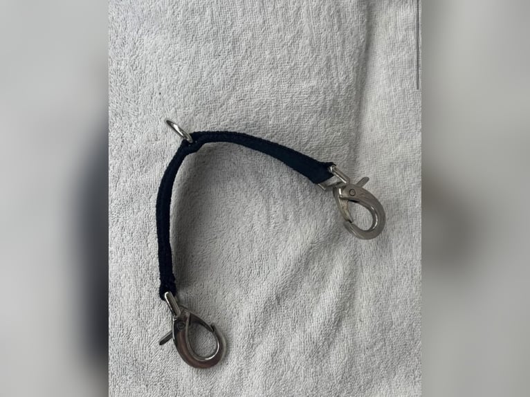 Longierbrille