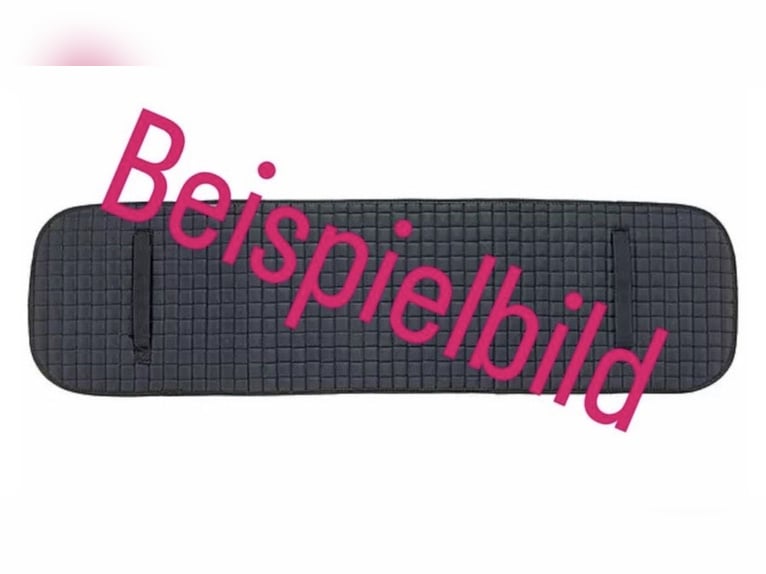 Longiergurtunterlage