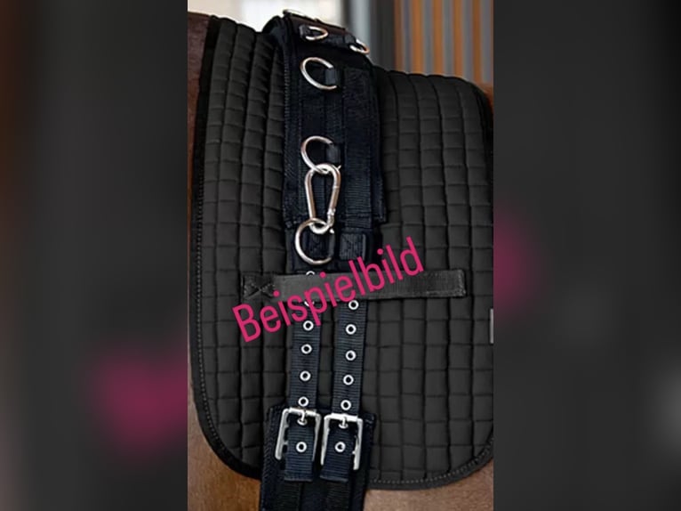 Longiergurtunterlage