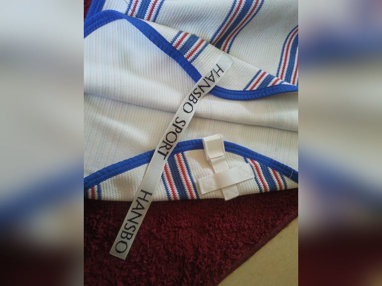 2 zweetdekens/onderdekens 