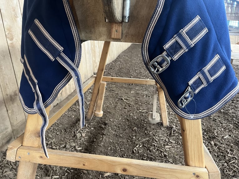Abschwitzdecke für Shettys