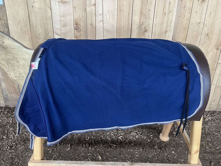 Abschwitzdecke für Shettys
