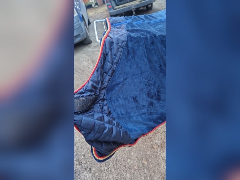 Abschwitzdecke größe 155 Loesdau Equestrian Wear – Since 1966