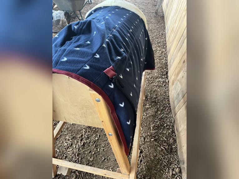 Abschwitzdecke Neu