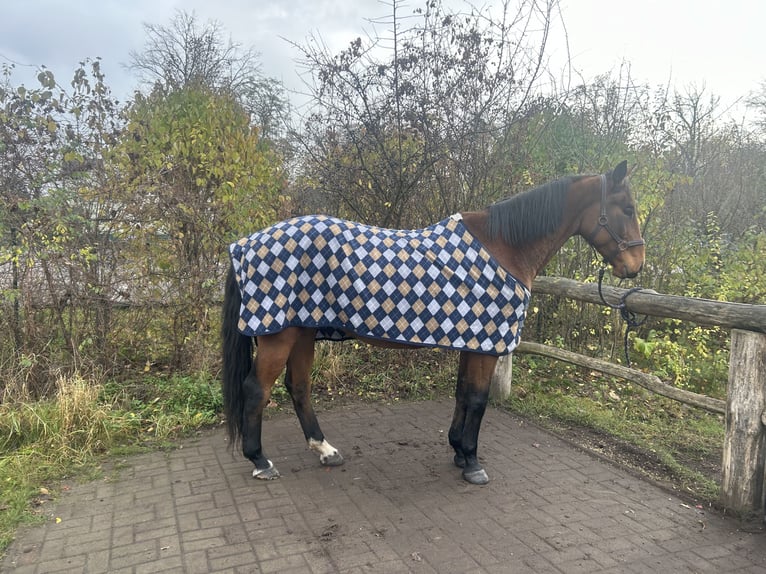 Abschwitzdecken 145/155