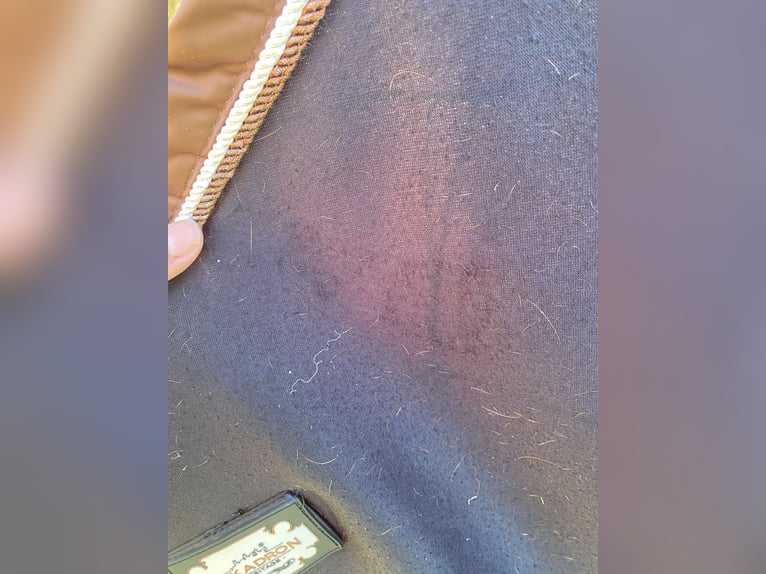 Eskadron Heritage Abschwitzdecke 145cm