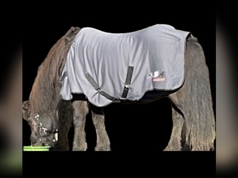 Karlslund Abschwitzdecke Pferde Decke Weidedecke Fleece Decke Top Reiter