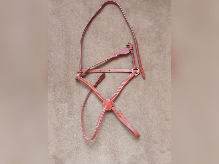 Reithalfter Steppenpferd London Cob, Full, X-Full neu!