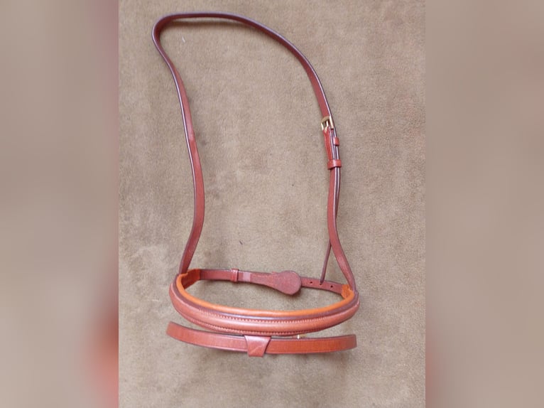 Reithalfter Steppenpferd London Full/Warmblut neu!