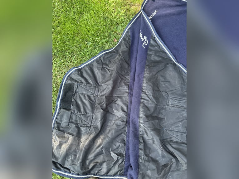 THERMO MASTER Funktions-Abschwitzdecke Terry Towel