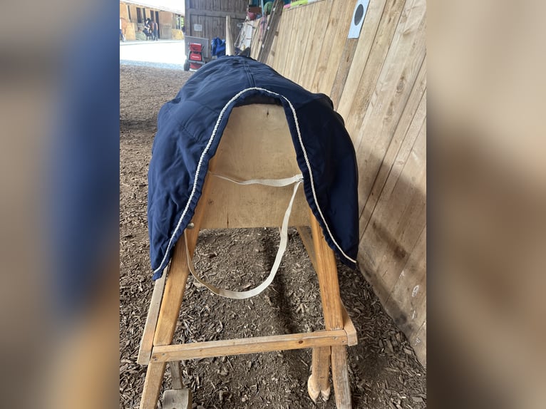 Ausreitdecke Eskadron