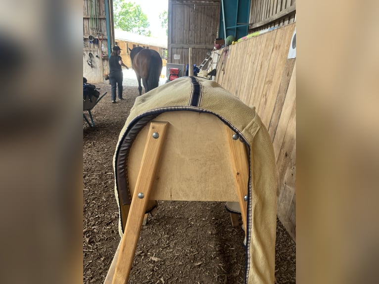 Ausreitdecke von Kavakade