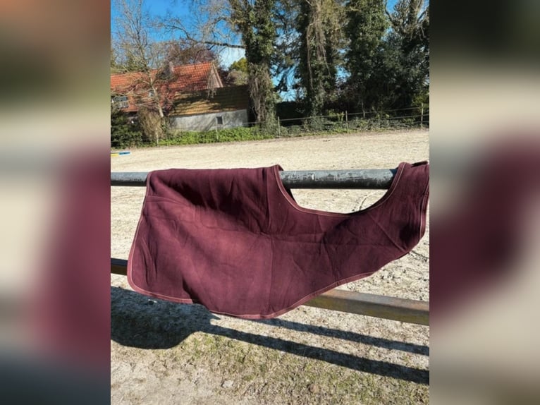 Kentucky Ausreitdecke