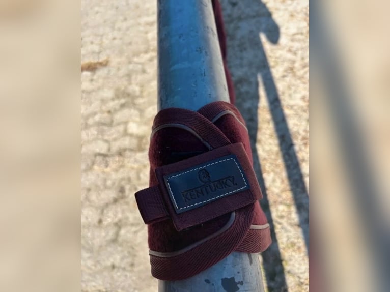 Kentucky Ausreitdecke