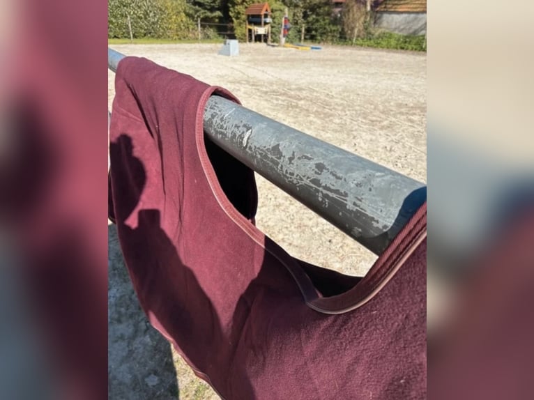 Kentucky Ausreitdecke