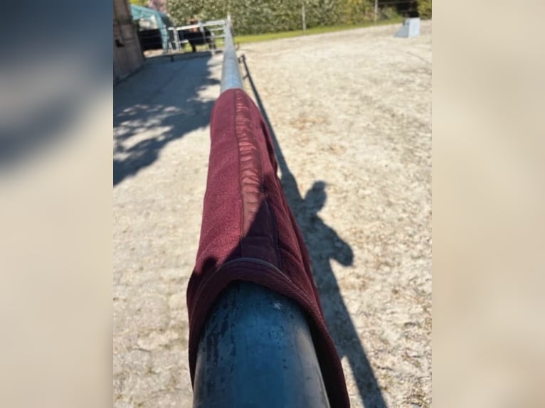 Kentucky Ausreitdecke