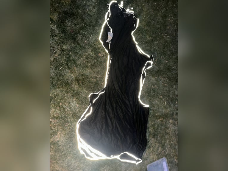 Reflex Ausreitdecke Waldhausen 145cm