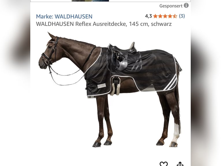 Reflex Ausreitdecke Waldhausen 145cm