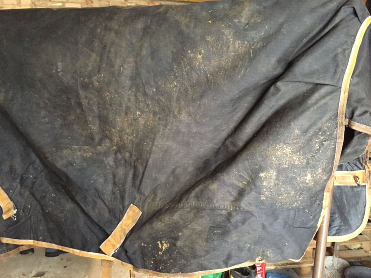 Pferdedecken waschen, imprägnieren, reparieren