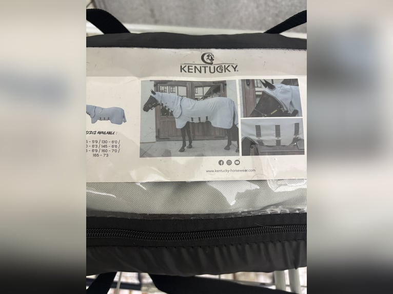 Kentucky Ekzemer Decke