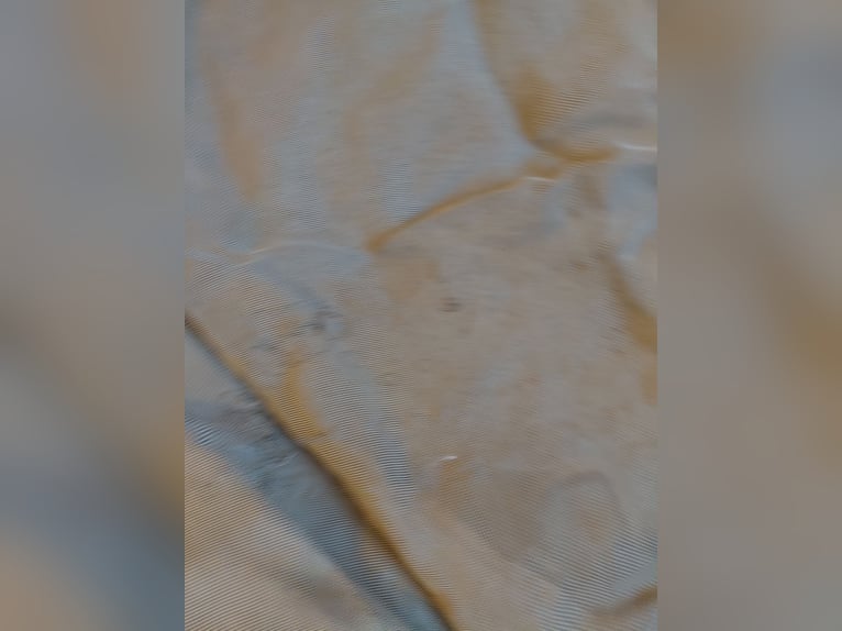 Horseware Rambo Fliegendecke 60 Euro 145cm