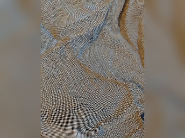 Horseware Rambo Fliegendecke 60 Euro 145cm