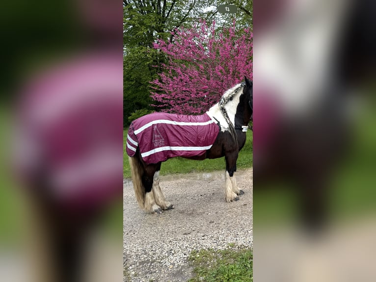 Führdecke Reflektion 135cm