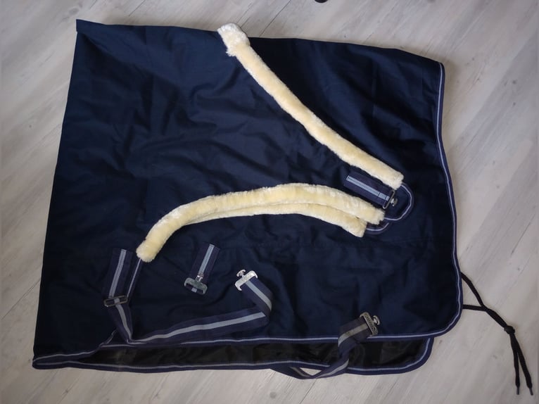 Führmaschinendecke Busse