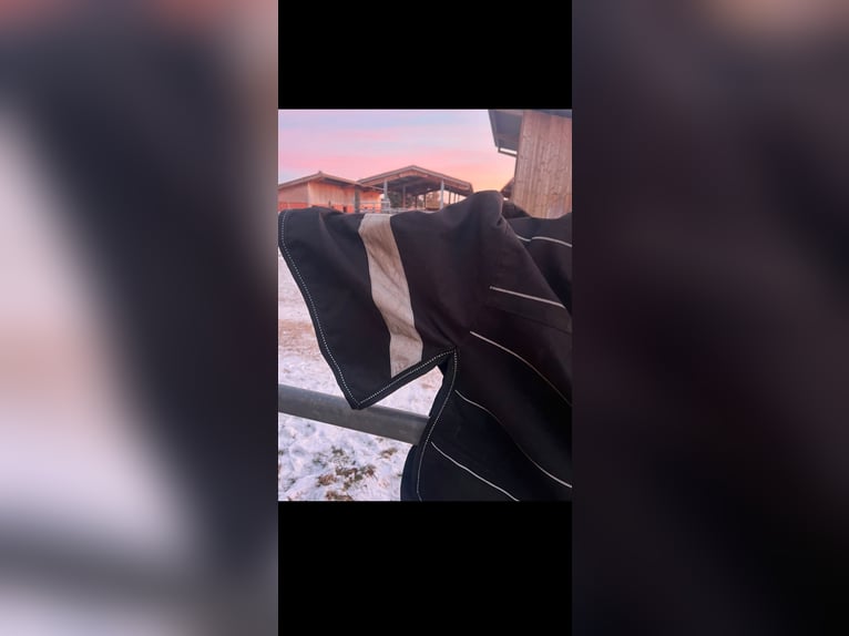 Waldhausen Führmaschinendecke Walker Decke Reflex Fleece 135 cm