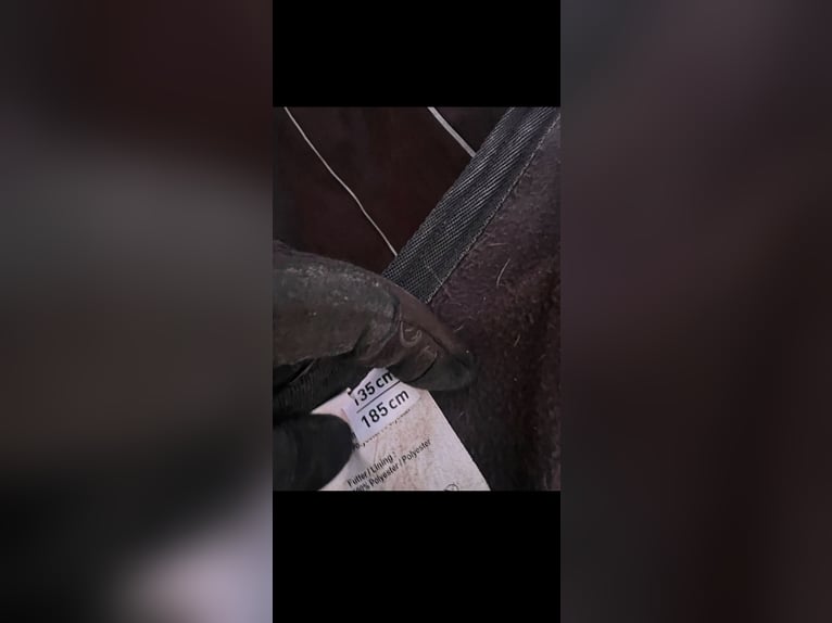 Waldhausen Führmaschinendecke Walker Decke Reflex Fleece 135 cm