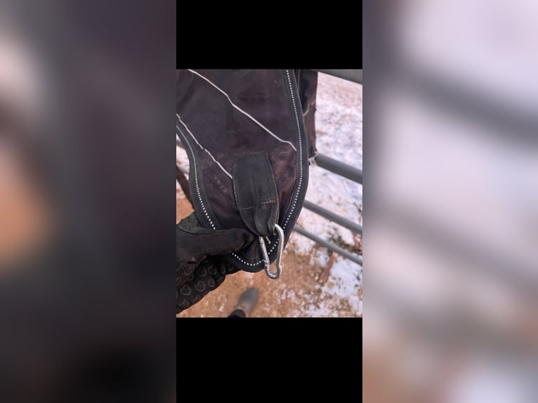 Waldhausen Führmaschinendecke Walker Decke Reflex Fleece 135 cm