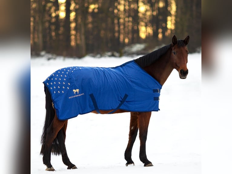 ACCUHORSEMAT DECKE 
