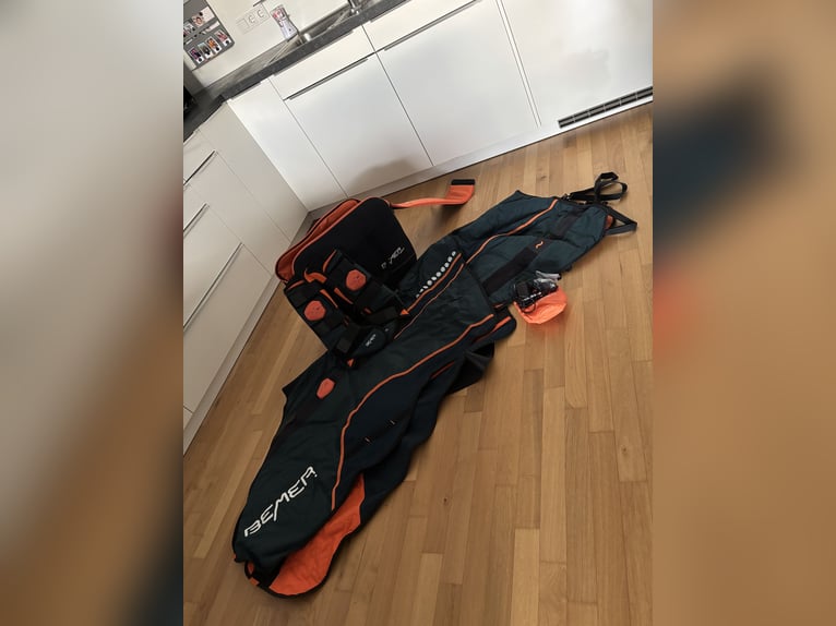 Bemer Horse Set 11/2023 