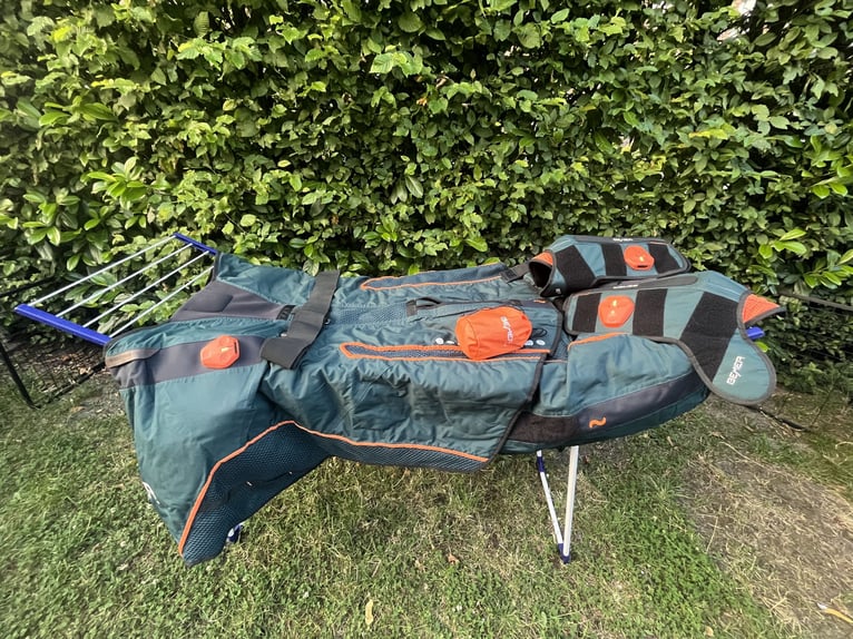 BEMER Horse Set aus 04/24