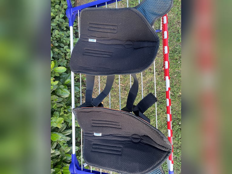 BEMER Horse Set aus 04/24