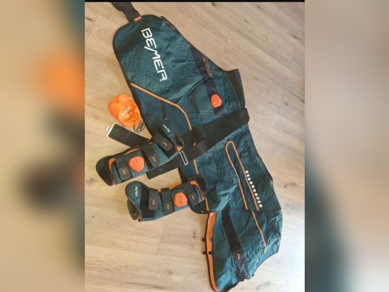 Bemer horse set Decke