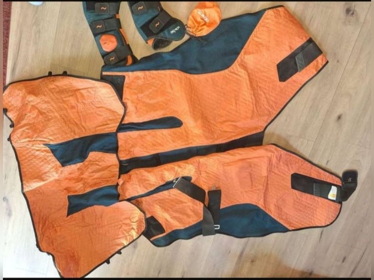 Bemer horse set Decke
