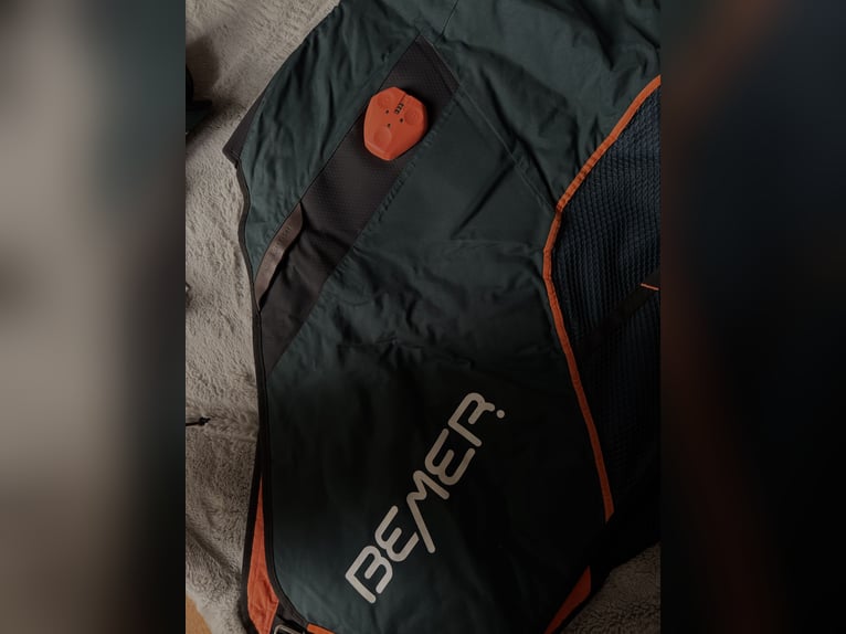 Bemer Horse Set 