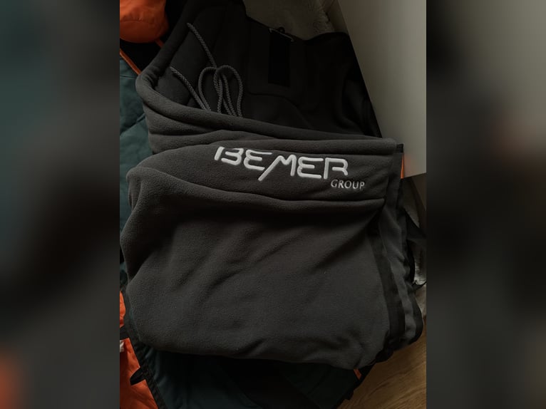 Bemer Horse Set 