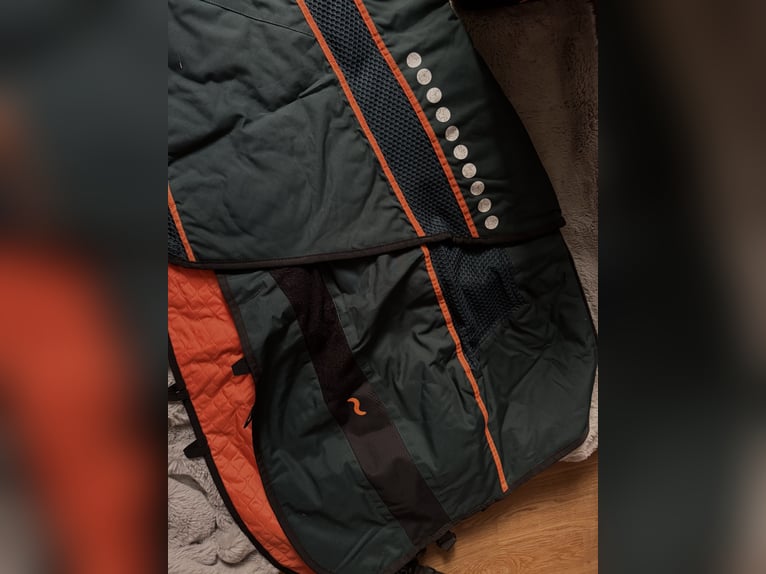 Bemer Horse Set 