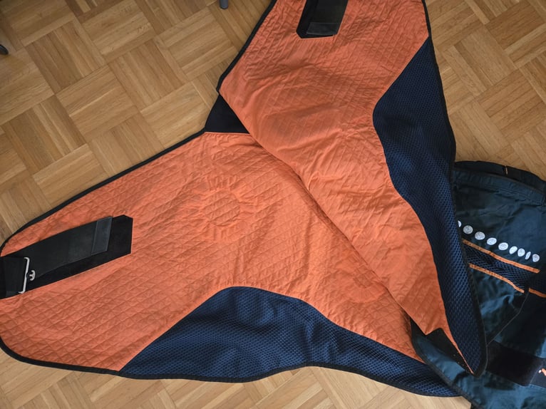 Bemer Horse Set