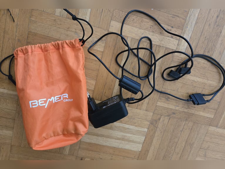 Bemer Horse Set
