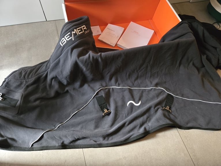 Bemer Horse Set